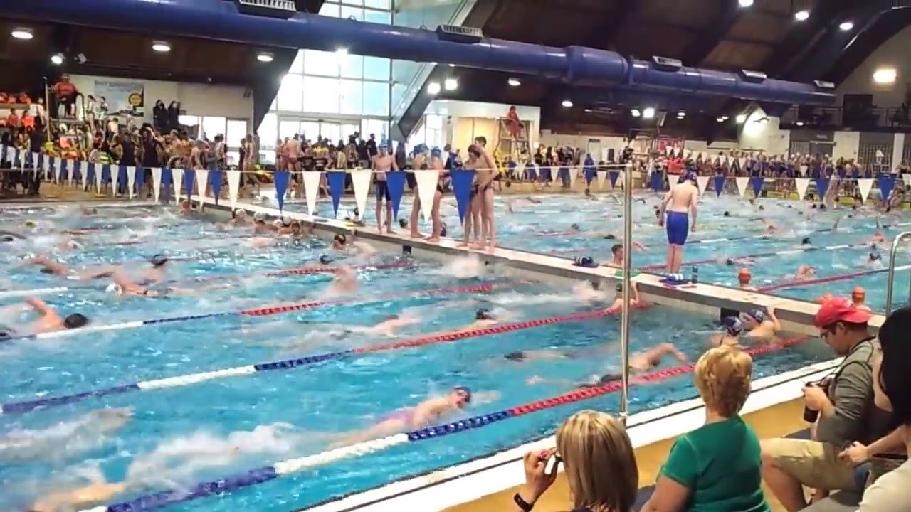 Warm up before Division swimming competition - YouTube