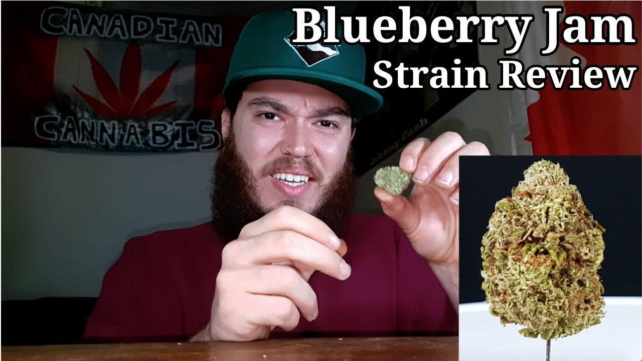 Strain Review - Blueberry Jam