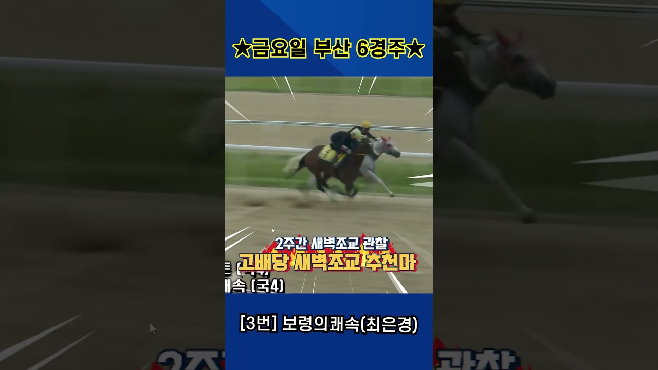7월24일 금요일 부산 6경주!! 2주간 훈련보인 강백호의 새벽조교 쏘스마!!
