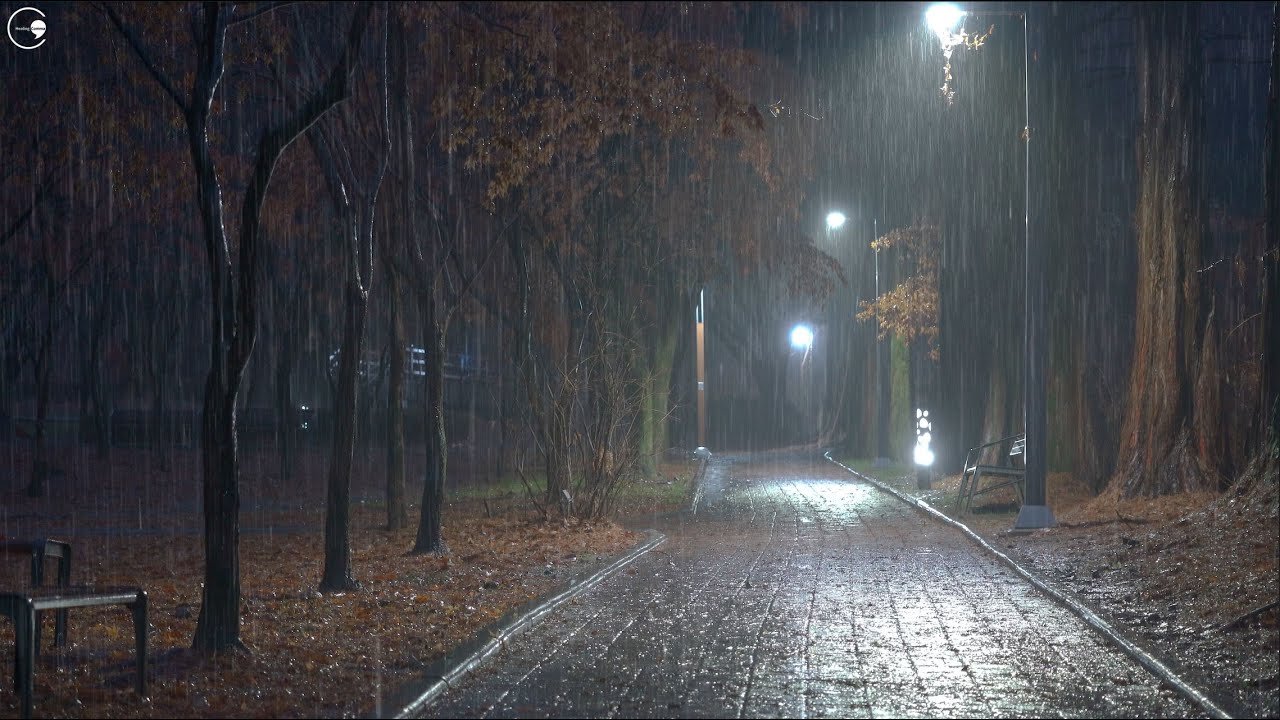 Комфортный звук дождя по лесной тропе ночью, АСМР для глубокого сна и комфортного отдыха.