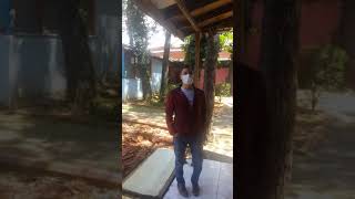 Çamlık Çay Bahçesi Sultanbeyli