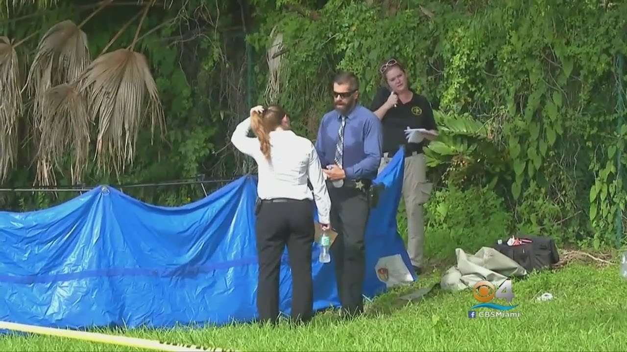 Woman's Body Found Floating In Pompano Beach Canal - YouTube