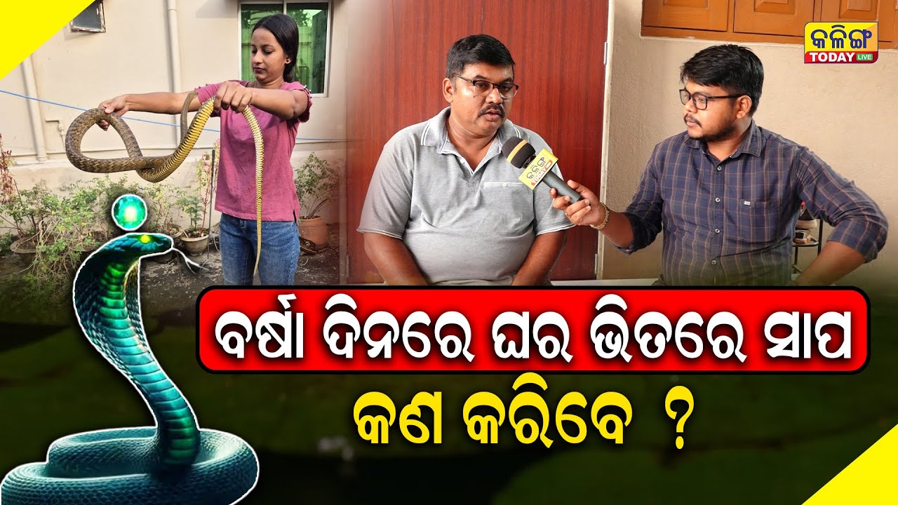 ଚିତ୍ତି ସାପ କାମୁଡିଲେ ଜଣା ପଡିବନି, କିନ୍ତୁ 12 ଘଣ୍ଟା ଭିତରେ ମରିଯିବ !! ଘରେ ପଶିବନି ସାପ କରନ୍ତୁ ଏହି କାମ ।।