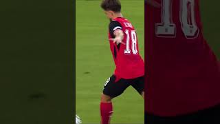 Affengruber: First goal for Austria!