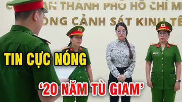 Tội danh diễn viên Trương Ngọc Ánh bị khởi tố có mức án đến 20 năm tù