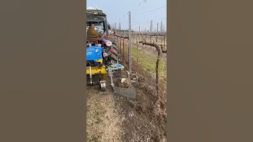 inRow Cultivator For Orchards & Vineyards || #weeding #cultivator #shorts