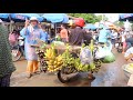 Daily Life in Cambodia Tour