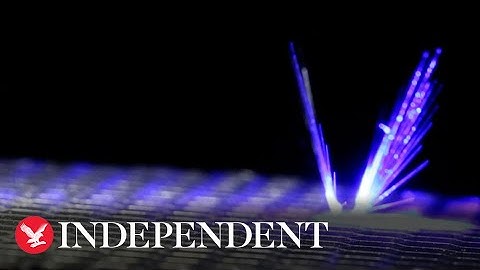 Winged robot smaller than a pea could pollinate crops