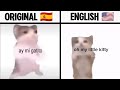 Ay Mi Gatito Miau Miau Translation