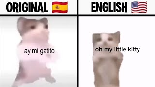 Download lagu Ay Mi Gatito Miau Miau Translation