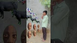 😎COW 🐮 cow videos 🐄 , cow video || COW COW || #cowcow  cow ki video#subscribe