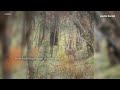 Kentucky deer feeding rules explained during 2026 hunting season