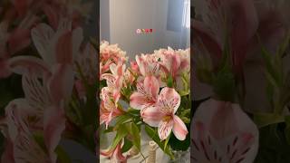 flowers around every corner💐 #cozy #flowers #bouquet #calmmusic