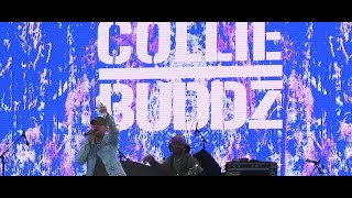 COLLIE BUDDZ | HOLDING FIRM | CALI ROOTS FESTIVAL | MONTEREY | CALIFORNIA | MAY 2022