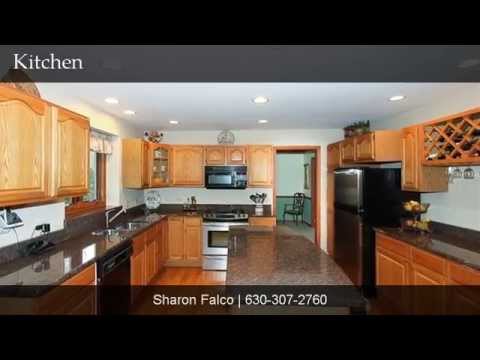 461 FORD LANE, Bartlett, IL home video tour