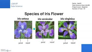 Iris Flower Classification Using Machine Learning.