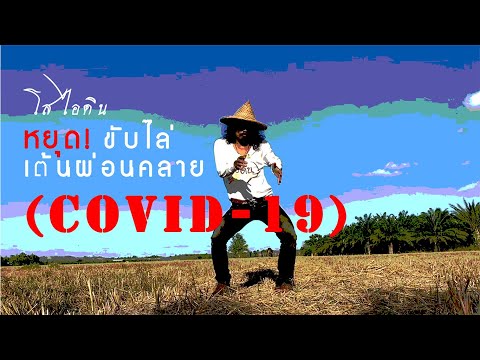 Baiyok B - แมนดาริน | โยก ผ่อนคลาย โควิด-19 【Unofficial MV】