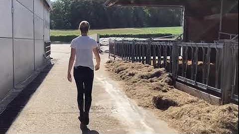 Me(a)t Ines Theunis van boerderij Fines! Zij zet in op het Euroclim-gamma van AVEVE.