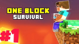 I MADE A new one block SURVIVAL SERIS || ( Ep.1 )