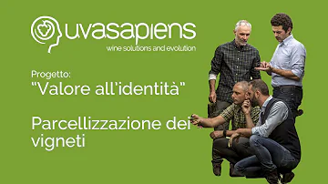 Quanto costa fare un impianto di vigneto?