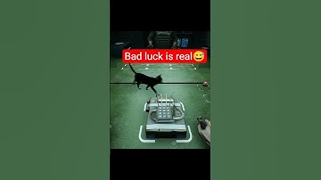 Trying to cut the right wire, when suddenly… #BlindDefuse #IndieDev #CatLuck #GameDev #bombdefuse