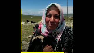 Nargül Avşar devlet desteğiyle havyan sayısını 30'dan 500'e çıkarttı.