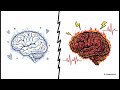 The Neural Topography of Love and Lust