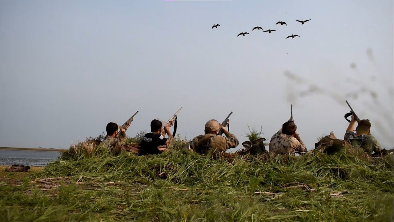 North Dakota Early Goose Hunting 2021 | Sandbar Loaf Hunt Smackdown