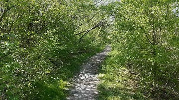 ZEISS  Digiscoping Nature  May 2023  part 1