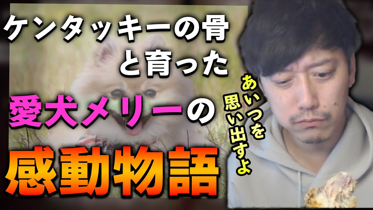 ケンタッキーのチキンを食べるたびに昔飼っていた犬を思い出す布団ちゃん 22 1 13 Youtube