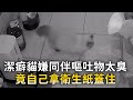 潔癖貓嫌同伴嘔吐物太臭　竟自己拿衛生紙蓋住