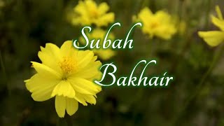 🥀 Subah Bakhair Wishes//WhatsApp status Subha bakhair//Mehekte Alfaz