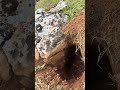 Simplex ultra tanıtım,define arama ve işaretli kaya altı görüntüleme