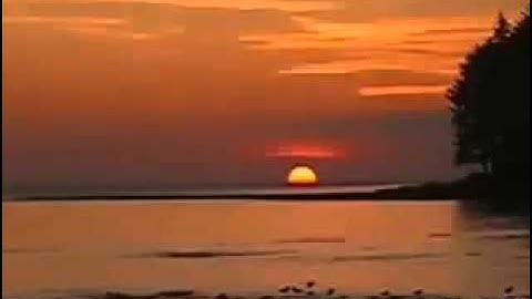 سورة الحج ماهر المعيقلي 25-38