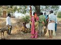 ఉగాది గంగమ్మకు జాతర 🐐