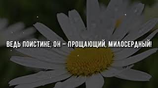 Красивое чтение Корана | Сура 39 Аз-Зумур, аяты 53-54 | Фахад Азиз Ниази