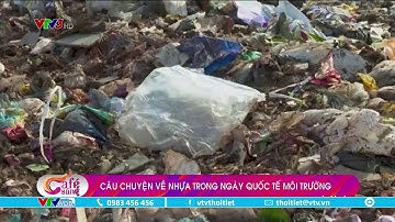 Câu chuyện về nhựa trong ngày quốc tế môi trường | VTVWDB