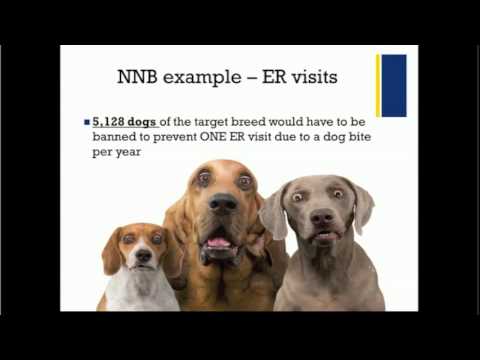 Video: BSL (Breed Specific Legislation): Er tidevannet omvendt?