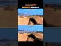 Far Cry 2 Homeland 38 Shotgun physics Full Fire Reload Far Cry 2 Homeland 38 Shotgun physics Full Fire Reload