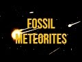 Fossil Meteorites