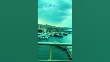 #ليبيا القارئ مالك القليب سورة النمل #istanbul_turkey