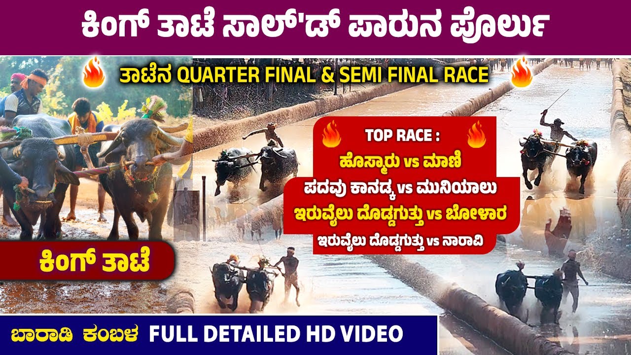 ಬಾರಾಡಿ ಕಂಬಳ | ಕಿಂಗ್ ತಾಟೆ ಸಾಲ್'ಡ್ ಪಾರುನ ಪೊರ್ಲು |  top race : ಹೊಸ್ಮಾರು & ಮಾಣಿ | ಪದವು ಕಾನಡ್ಕ & ಮುನಿಯಾಲು