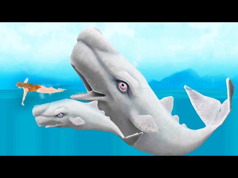 Прохождение Hungry Shark Evolution - МОБИ ДИК MOBY DICK - ПРОКАЧИВАЮ МОЮ РЫБКУ ДО 10 УРОВНЯ