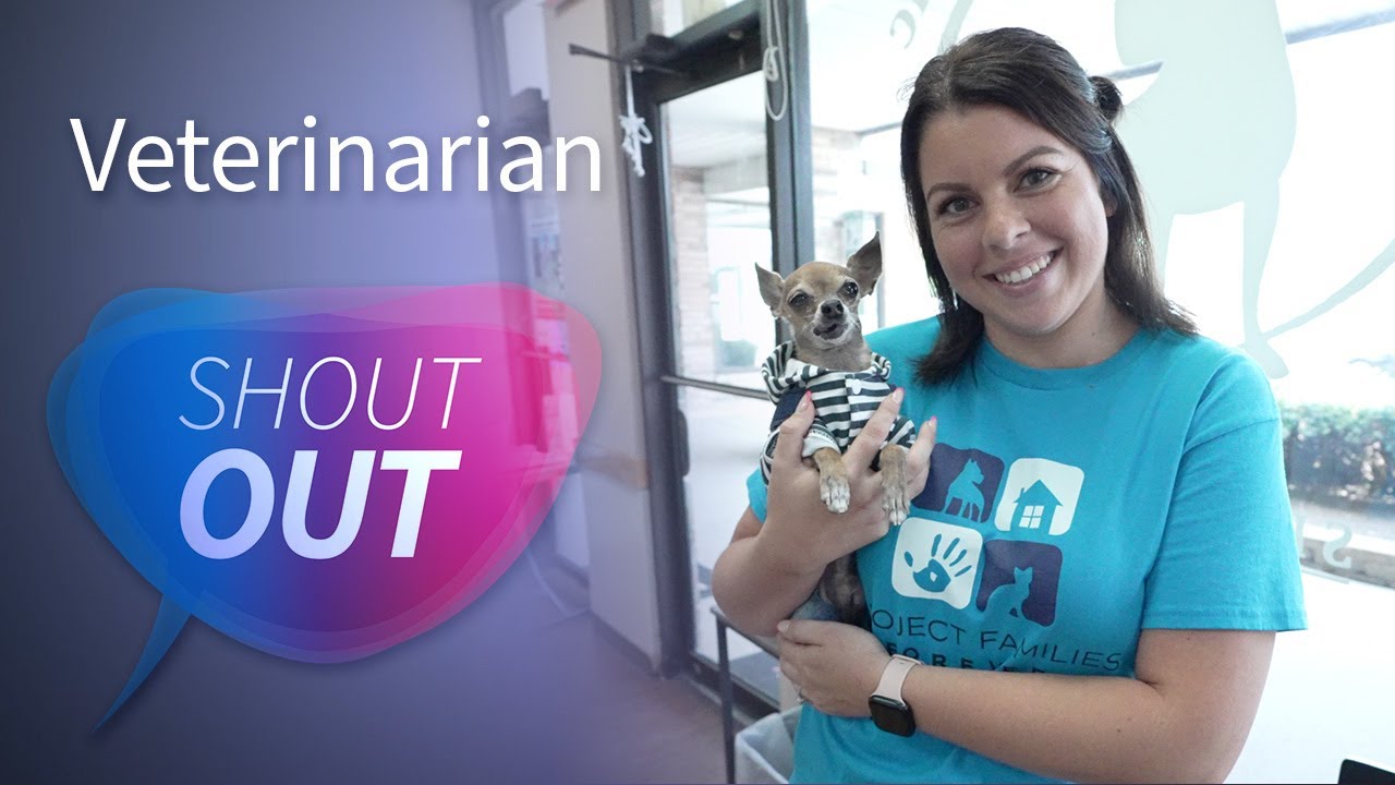 Shout Out Veterinarian Spay Illinois YouTube