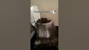 The Pharaoh’s Curse and more