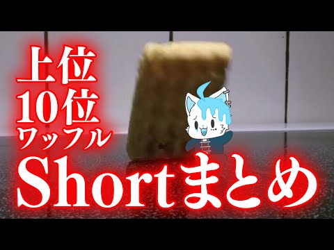 【上位10個分？】ワッフルミームShortまとめ【銀猫様】