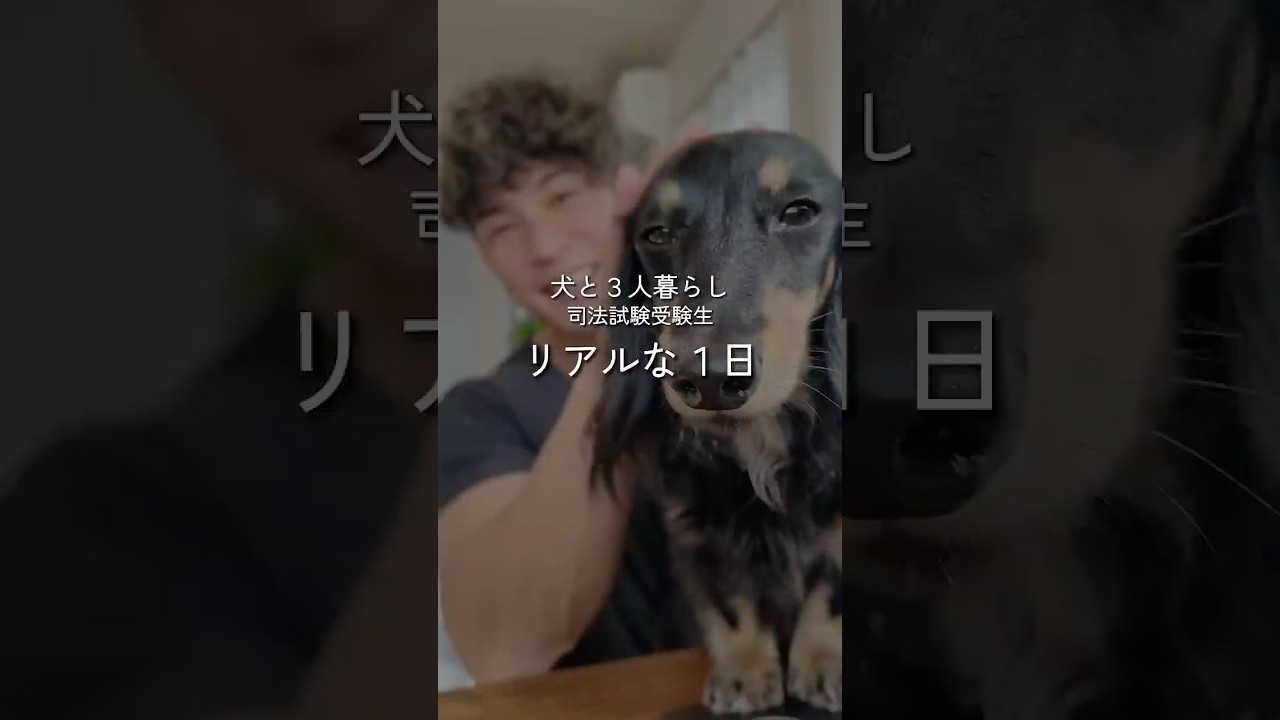 大学院生活スタート🌱 #カニンヘンダックス #司法試験受験生 #vlog