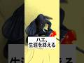 うっかり生涯を終えるハエ氏/fly takes head #shorts #謎