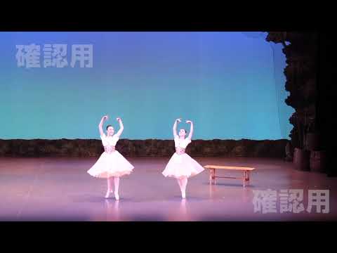 合同会社 Effect
