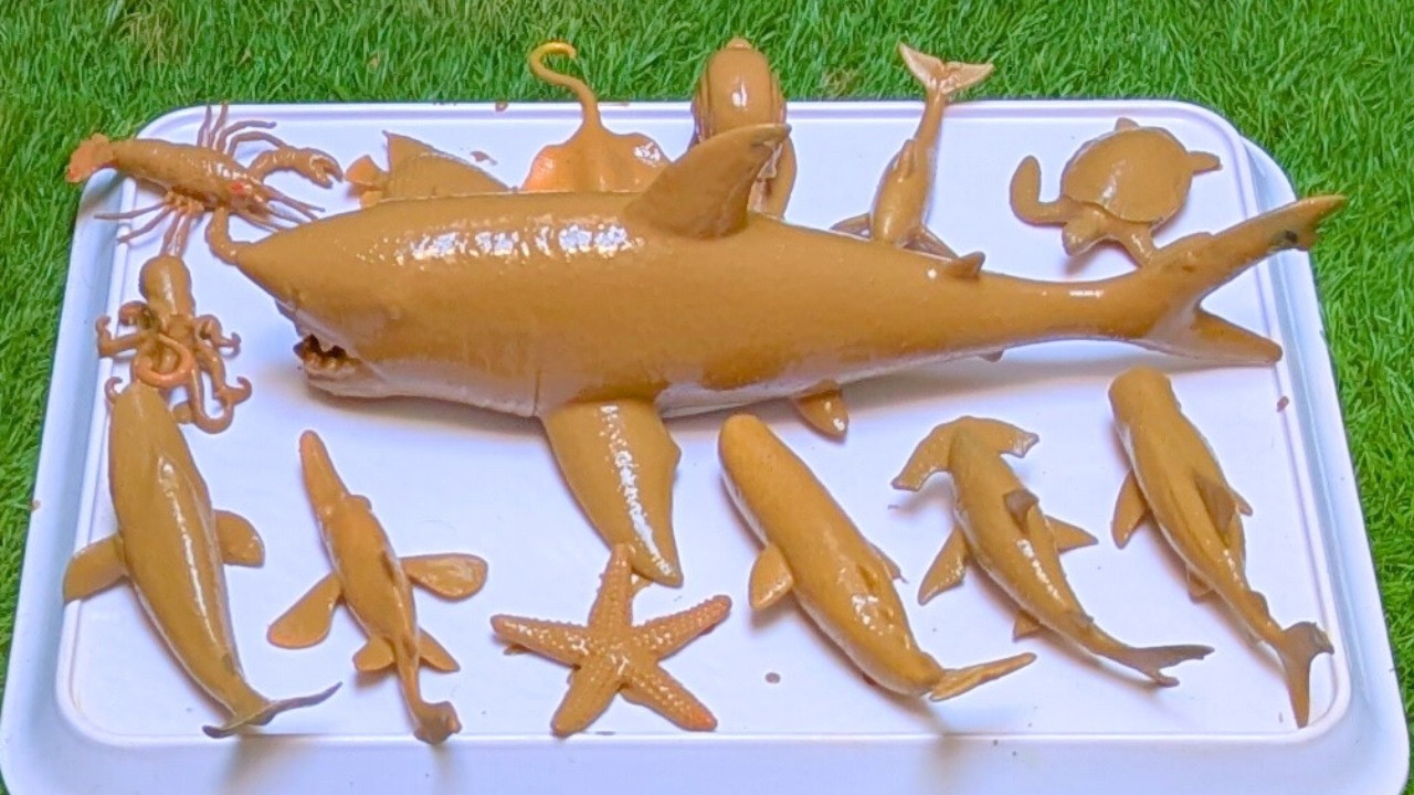 Discover the Ocean’s Mightiest Shark: Exploring the Superpowers of Sea Animals🐋🦀